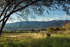 Carpinteria Salt Marsh