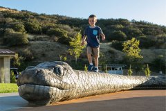Agoura-Hills-Recreation-Center-Van-Atta-Associates-06