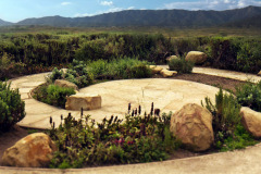 carpinteria-salt-marsh-3