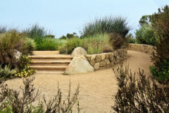 carpinteria-salt-marsh-4