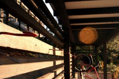 Casa-Nueva-Van-Atta-Associates-042