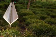 Casa-Nueva-Van-Atta-Associates-072