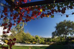 Casa-Nueva-Van-Atta-Associates-082