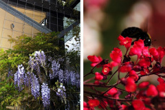 Casa-Nueva-Van-Atta-Associates-092