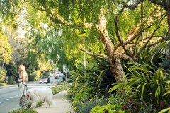 Urban Parks and Recreation