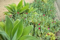 San-Ysidro-Rd-Van-Atta-Associates-02