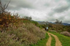 Van-Atta-Associates-VAI-Sheffield-Montecito-002