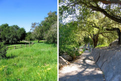 Van-Atta-Associates-VAI-Sheffield-Montecito-009-e1521739343734