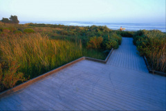 UCSB Lagoon Park