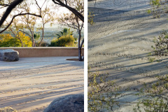 university-of-san-diego-4