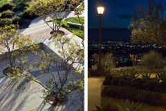 university-of-san-diego-5