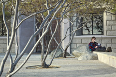 university-of-san-diego-7