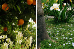 van-atta-design-studio-3