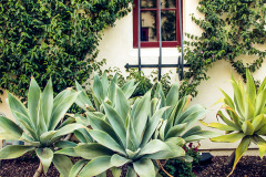 Yanonali-Condos-Van-Atta-Associates-06