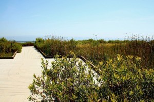 ucsb-lagoon-park-002