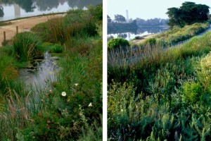 ucsb-lagoon-park-011