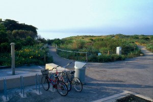 ucsb-lagoon-park-004