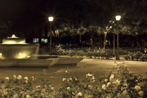 university-of-san-diego-003
