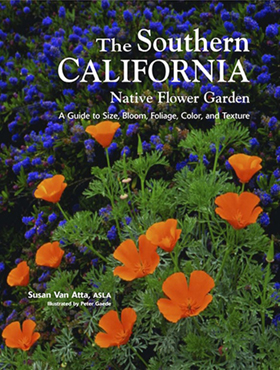 The Southern California Native Flower Garden