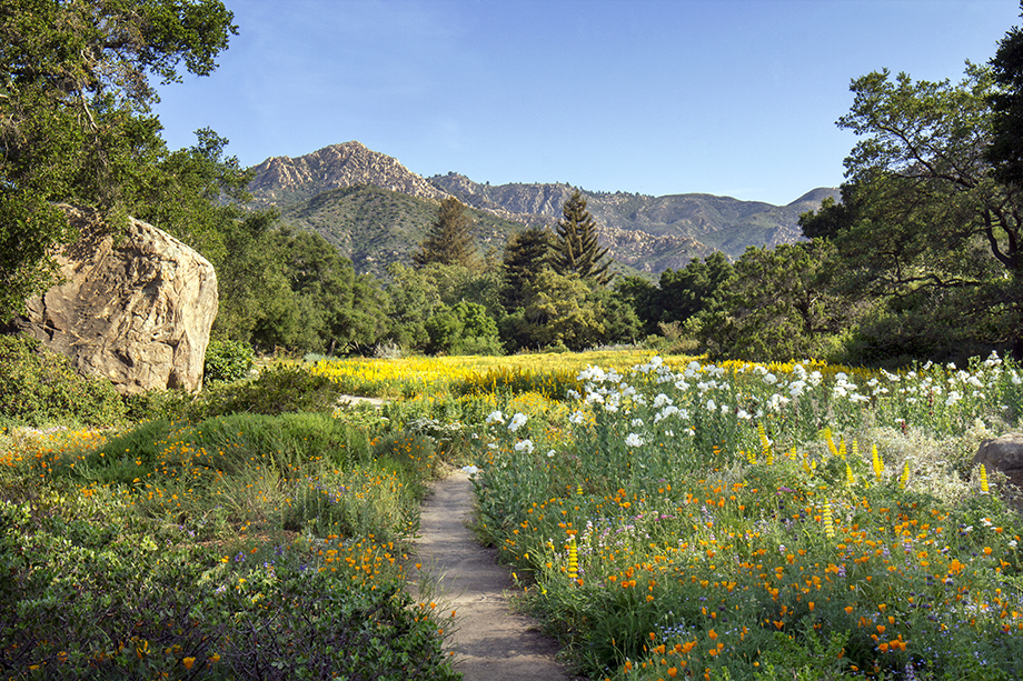 Van Atta Associates Santa Barbara Botanic Garden 05 Van Atta